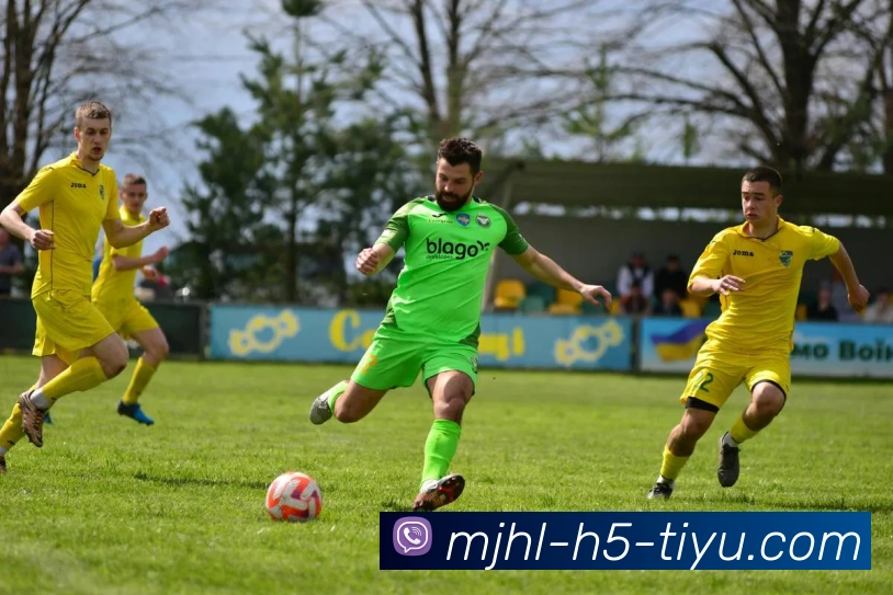 麻将胡了平台生态图